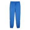 OM Pantalon d'entraînement Bleu Homme Puma Prematch Woven