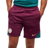 PSG Short Training Bordeaux Homme Nike 24/25