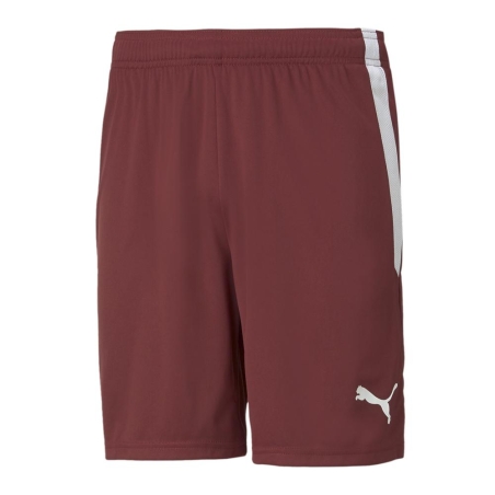 Short de Sport Rouge Homme Puma Teamliga