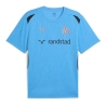 OM Maillot Training Bleu/Noir Homme Puma 24/25