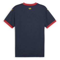 Girona FC Maillot Extérieur Homme Puma 24/25