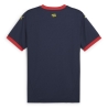 Girona FC Maillot Extérieur Homme Puma 24/25