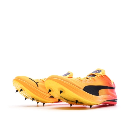 Chaussures d'athlétisme Jaune/Rose Homme Puma Evospeed Long Distance Nitro Elite 2