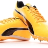 Chaussures D'Athlétisme Orange Homme Puma Evospeed Sprint 14