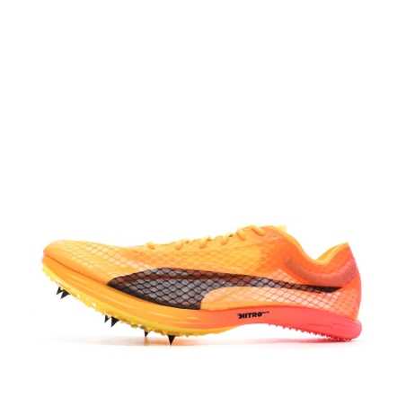 Chaussures d'athlétismes Orange Homme Puma Evospeed Distance Nitro Elite
