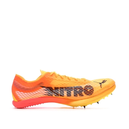 Chaussures d'athlétismes Orange Homme Puma Evospeed Distance Nitro Elite