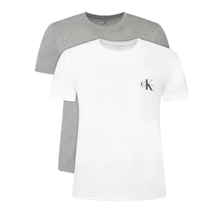 Lot de 2 T-Shirt Gris/Blanc Femme Calvin Klein Jeans Monologo