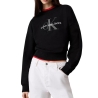Sweat Noir Femme Calvin Klein Jeans LV047B234G