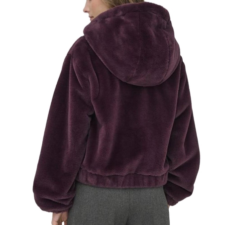 Veste Violet Femme JDY Ola