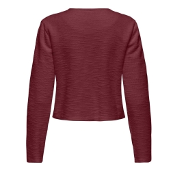 Blazer Bordeaux Femme JDY Ally