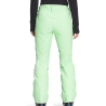 Pantalon de ski Vert Femme The North Face Aboutaday