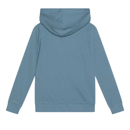Sweat Bleu Garçon Jack & Jones Forest