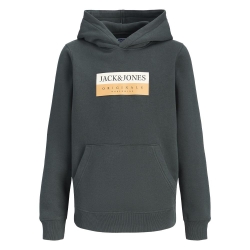 Sweat Gris Foncé Garçon Jack & Jones Frederiksberg
