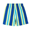 Short Bleu/Vert Garçon O'Neill Brights