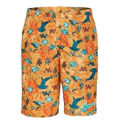 Short de bain Orange/Bleu Garçon Nike 6 Volley