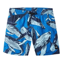 Maillot de bain Bleu Garçon O'Neill Cali