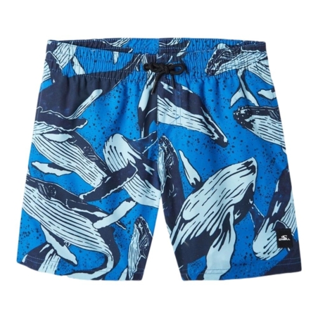 Maillot de bain Bleu Garçon O'Neill Cali