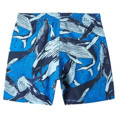Maillot de bain Bleu Garçon O'Neill Cali