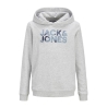 Sweat Gris Clair Garçon Jack & Jones Forest