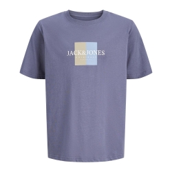T-Shirt Mauve Garçon Jack & Jones Frederiks