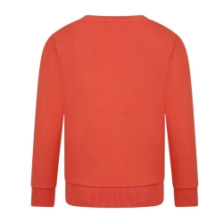 Sweat Terracotta Garçon Timberland T60075