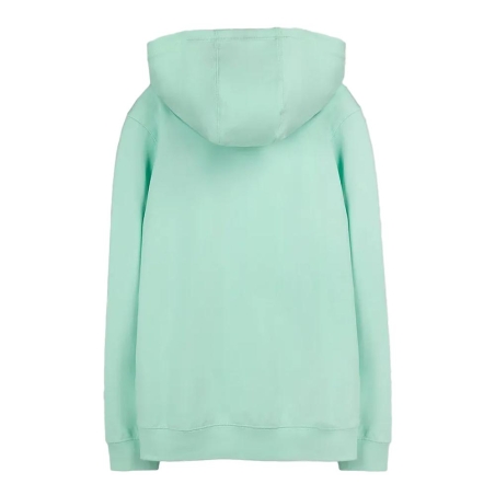 Sweat à Capuche Vert Garçon Menthe Teddy Smith Evry