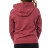 Sweat à Capuche Bordeaux Garçon Teddy Smith Evry