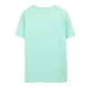 T-Shirt Vert Menthe Garçon Teddy Smith Evan