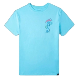 T-shirt Turquoise Garçon O'Neill Team