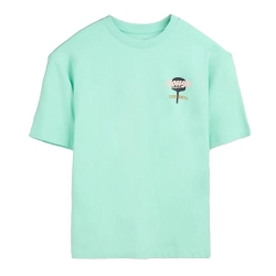 T-Shirt Vert Menthe Garçon Teddy Smith Bis