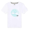 T-Shirt Blanc/Turquoise Ado Timberland T60087