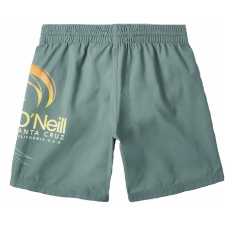 Short de bain Vert Garçon O'Neill Circle Surfer