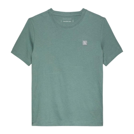 T-shirt Vert Garçon Calvin Klein Jeans IU0IU00543