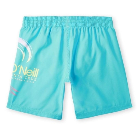 Short de bain Bleu Garçon O'Neill Circle Surfer
