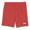 Short Terracotta Garçon Puma Ess2 Color No.1 Logo