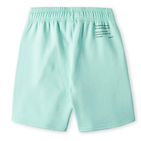Short Turquoise Garçon O'Neill Future