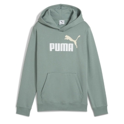Sweat à Capuche Vert Garçon Puma Ess2 Color