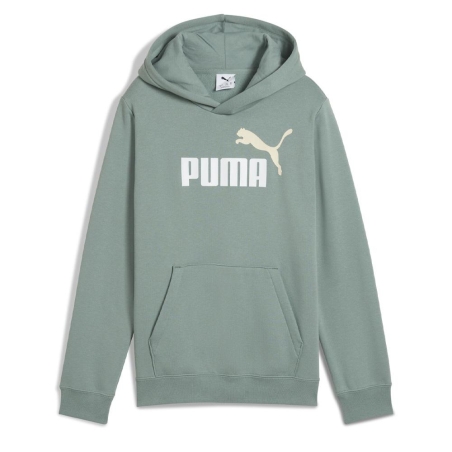Sweat à Capuche Vert Garçon Puma Ess2 Color