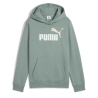 Sweat à Capuche Vert Garçon Puma Ess2 Color