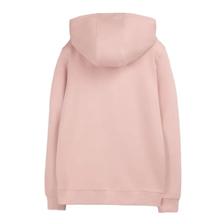 Sweat à Capuche Rose Garçon Teddy Smith Evry