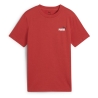 T-shirt Terracotta Garçon Puma Ess 2 Color