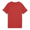 T-shirt Terracotta Garçon Puma Ess 2 Color