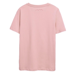 T-Shirt Rose Menthe Garçon Teddy Smith Evan
