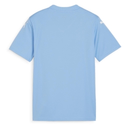 Maillot de football Bleu Garçon Puma Teamglory Jersey Jr