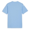 Maillot de football Bleu Garçon Puma Teamglory Jersey Jr