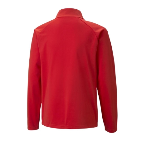 Sweat de Sport Rouge Garçon Puma Teamliga Graphic