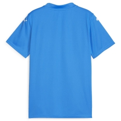 Maillot de football Bleu Turquoise Garçon Puma Teamglory Jersey Jr