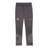 OM Pantalon Training Gris Junior Puma 2023/2024