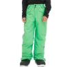 Pantalon de ski Vert Garçon O'Neill Hammer Pants