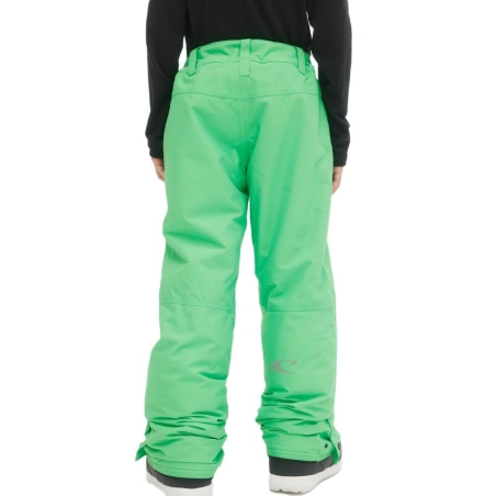 Pantalon de ski Vert Garçon O'Neill Hammer Pants